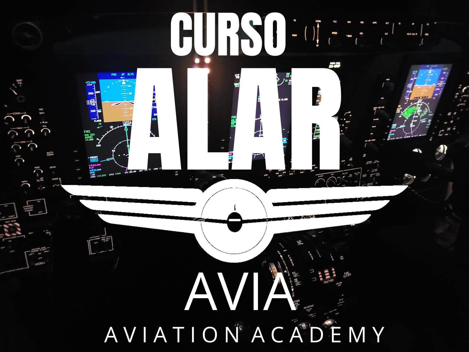 ALAR Approach and Landing Accident Reduction